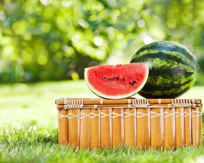 Mindful Living Network, Mindful Living, Dr. Kathleen Hall, The Stress Institute, OurMLN.com, MLN, Alter Your Life, Mindful Eating Everyday, Eating Everyday