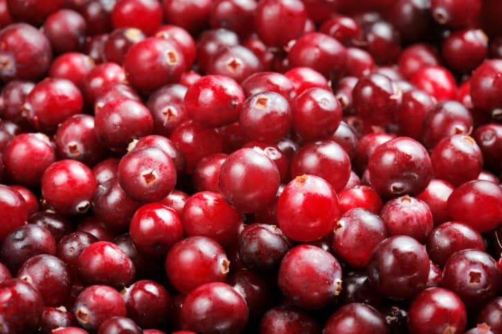 cranberry benefits, cranberry month, Mindful Living Network, Mindful Living, Dr. Kathleen Hall, The Stress Institute, OurMLN.com, MLN, Alter Your Life, Mindful Eating Everyday