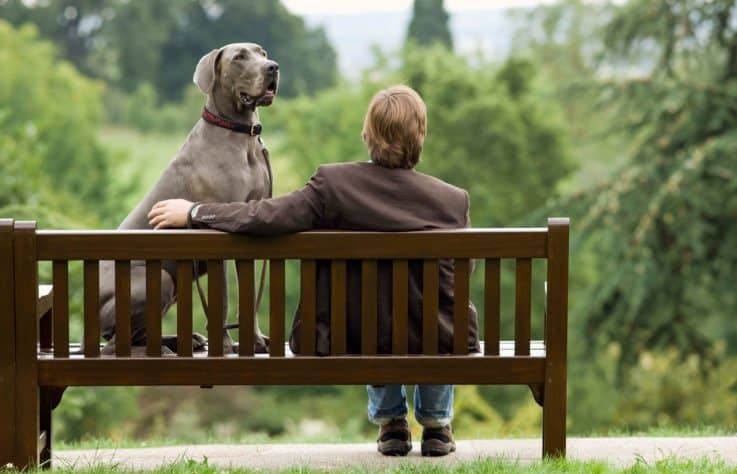 Mindful Living Network, Mindful Living, Dr. Kathleen Hall, The Stress Institute, OurMLN.com, MLN, Alter Your Life, Mindful Animals, Animals.