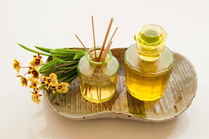 sense of smell, five senses