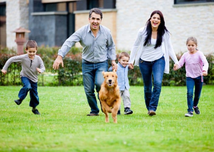 Mindful Living Network, Mindful Living, Dr. Kathleen Hall, The Stress Institute, OurMLN.com, MLN, Alter Your Life, Mindful, Mindful Family, Family, Mindful Animal, Animals