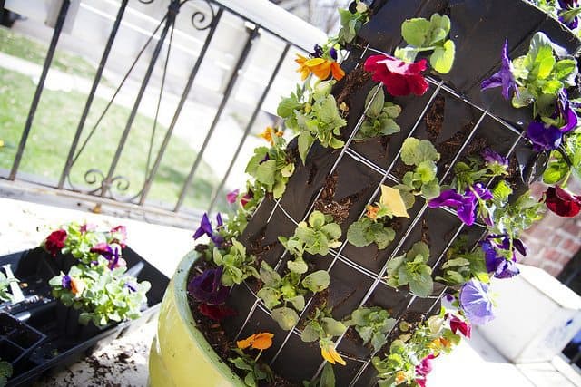 Mindful Living Network, Mindful Living, Dr. Kathleen Hall, The Stress Institute, OurMLN.com, MLN, Alter Your Life, Mindful, Mindful Gardening, Gardening