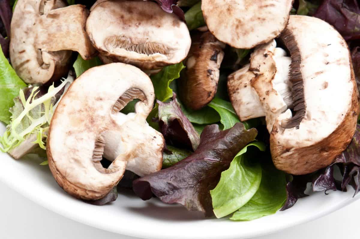 mushroom, salad, healthy, mushroom recipe
