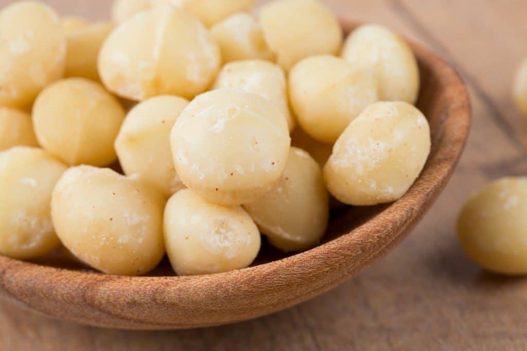 national macadamia nut month, macadamia nut month, macadamia nut