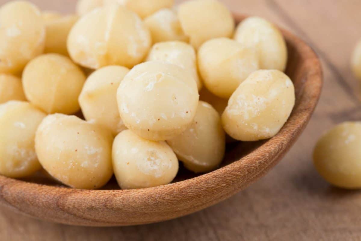 national macadamia nut month, macadamia nut month, macadamia nut