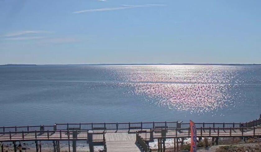 Chesapeake Bay